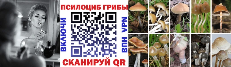 Псилоцибиновые грибы мицелий  нарко площадка формула  Таруса 